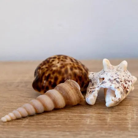 Apartament La Casetta Del Ponte A Due Passi Dal Mare Riva Trigoso