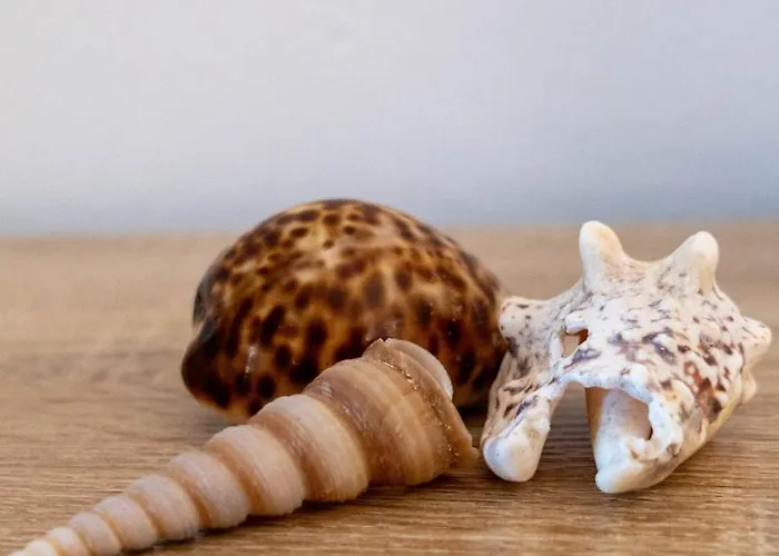 شقة La Casetta Del Ponte A Due Passi Dal Mare ريفا تريجوسو